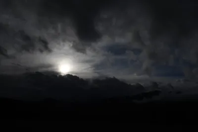 DSC_5748 (Large).JPG